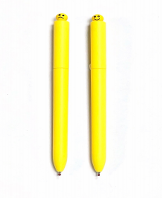 Expression plastic pen ZP189